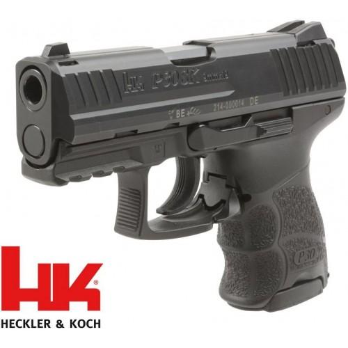P30SK V3