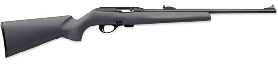 597 SYNTHETIC 22 LR