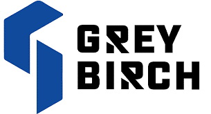 Grey Birch