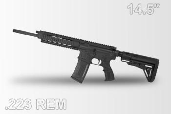 ZPT223-main-01