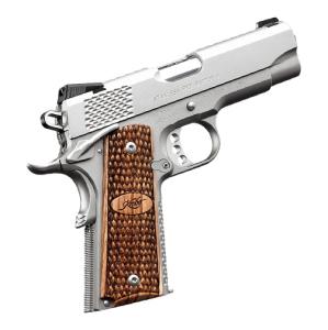 Stainless Pro Raptor II, .45ACP